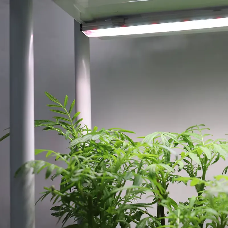 Movable Vertical Grow 3 Level  - đánh giá và giá Smart Garden System