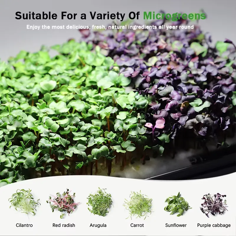 Microgreens Self Watering Hydr - đánh giá và giá Self Watering Planter