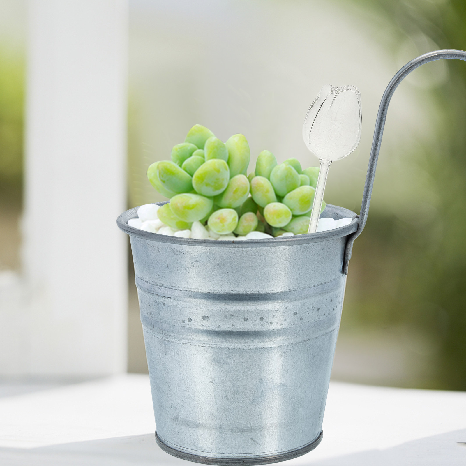 2Pcs Premium High Borosilicate - đánh giá và giá Self Watering Planter