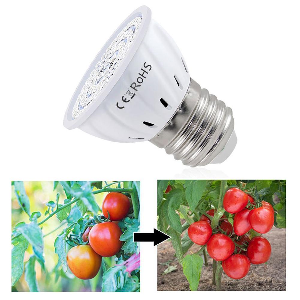 LED Grow Bulb E27 60 80LEDs Fu - đánh giá và giá Plant Grow Light Full Spectrum
