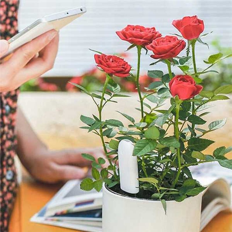 ABVG-Flora Smart Flower Monito - đánh giá và giá Plant Monitor