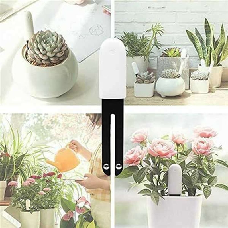 ABVG-Flora Smart Flower Monito - đánh giá và giá Plant Monitor