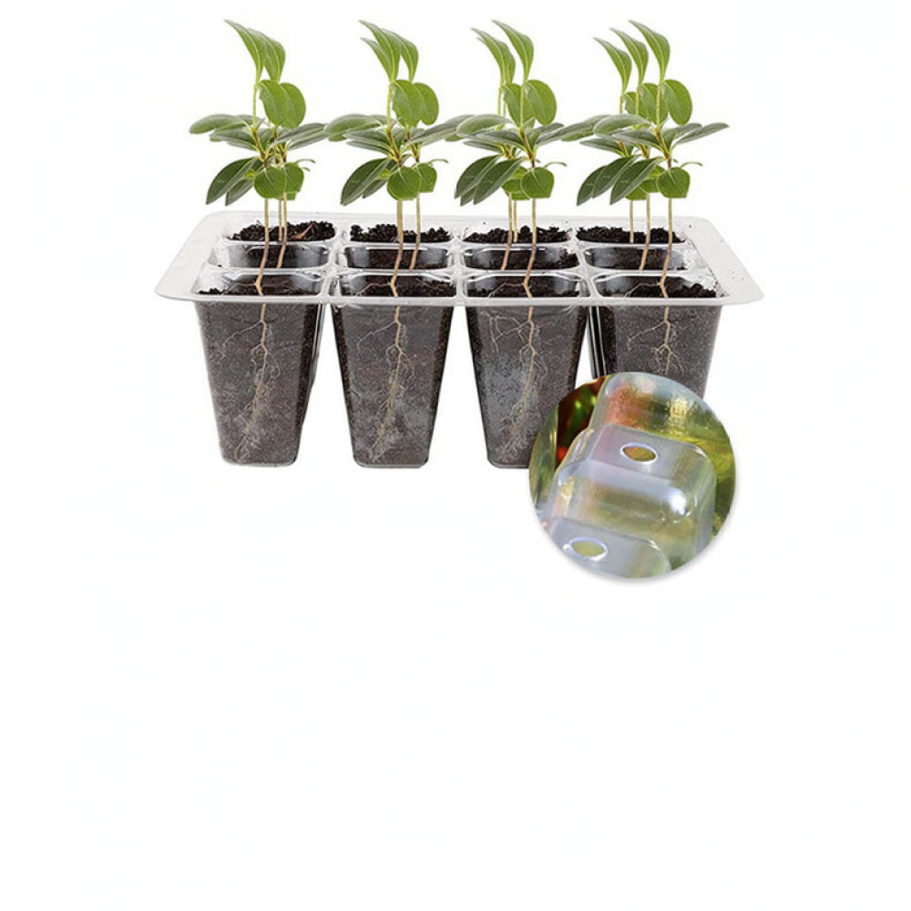 Plant Grow Light Starter Kit H - đánh giá và giá Indoor Garden Kit