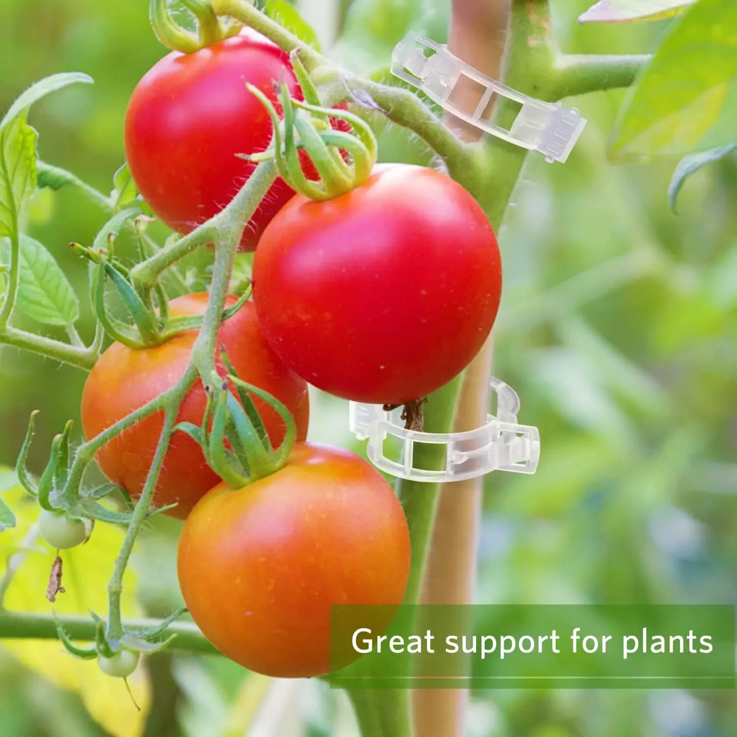 Plant Support Clips Reusable P - đánh giá và giá Smart Garden Kit