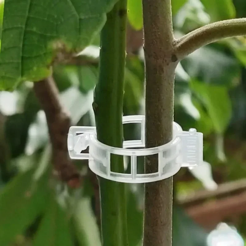 Plant Support Clips Reusable P - đánh giá và giá Smart Garden Kit
