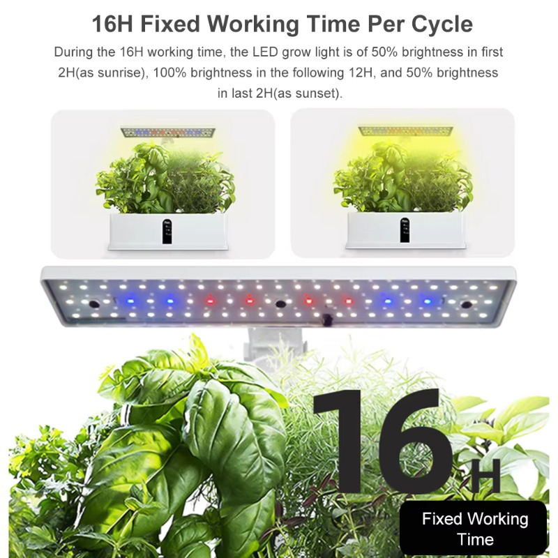 9 Pods Smart Hydroponics Growi - đánh giá và giá Smart Garden System