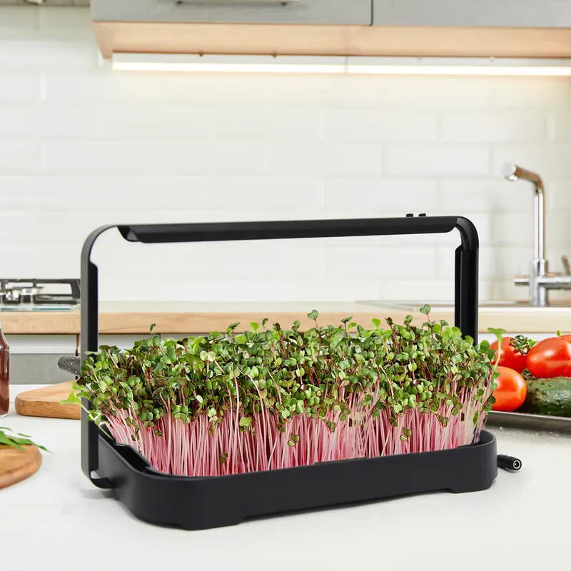 Hydroponic Tray Indoor Microgr - đánh giá và giá Smart Garden System