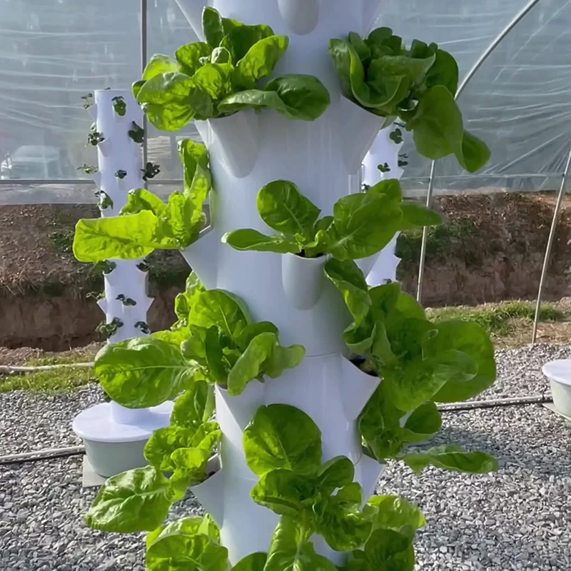 With Led Grow Light Space Tree - đánh giá và giá Hydroponic Tower