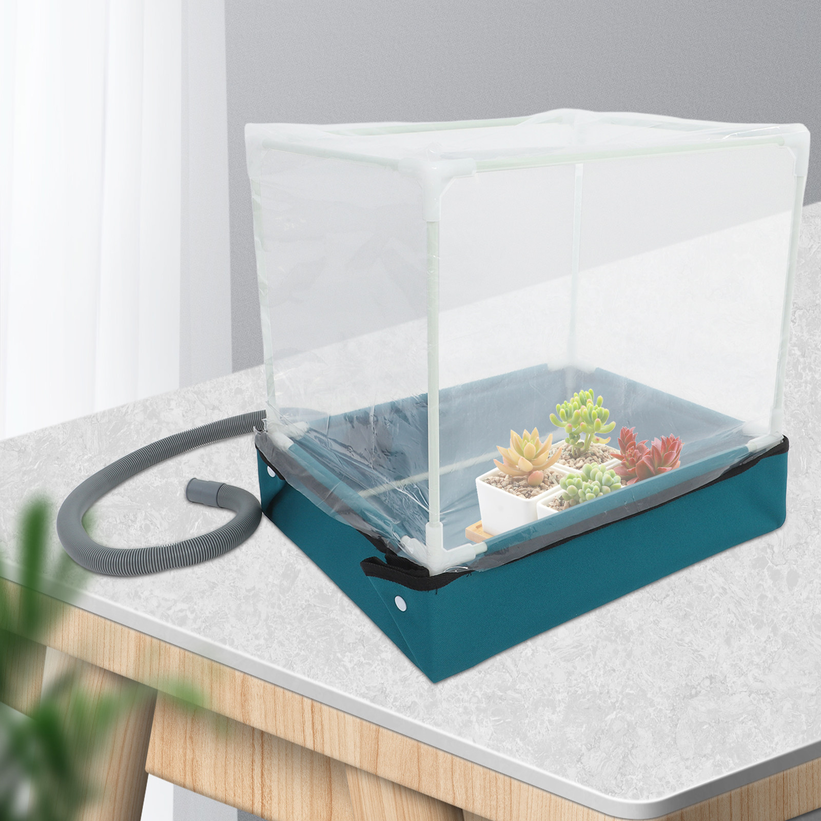 Mini Indoor Succulent Greenhou - đánh giá và giá Indoor Garden Kit