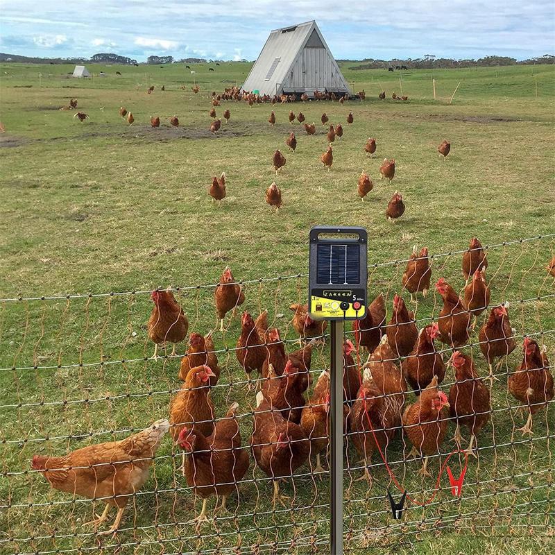 2pcs gardens Solar Fence Charg - đánh giá và giá Smart Garden Kit