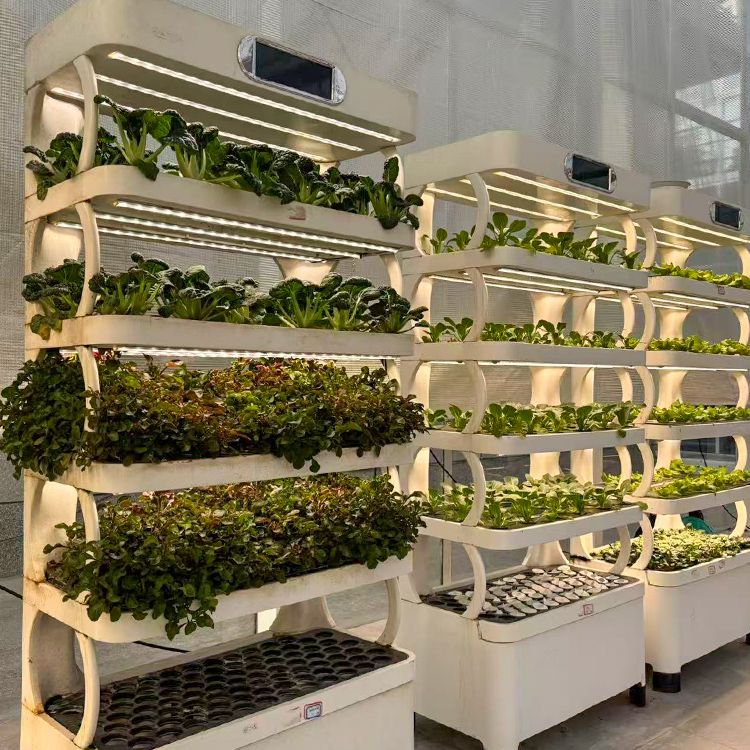 Intelligent Indoor Garden Plan - đánh giá và giá Smart Garden System