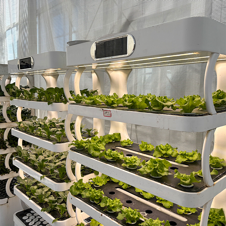 Intelligent Indoor Garden Plan - đánh giá và giá Smart Garden System