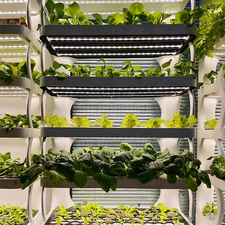 Intelligent Indoor Garden Plan - đánh giá và giá Smart Garden System